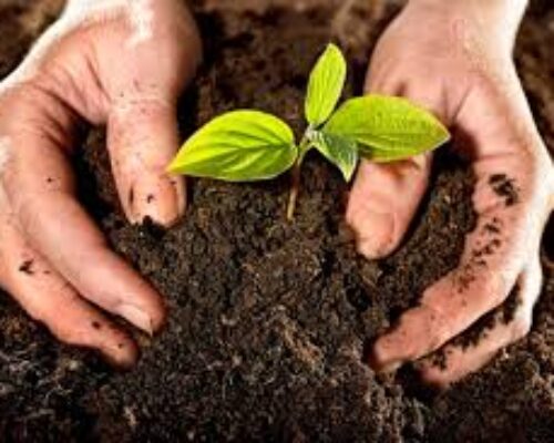 Las técnicas agroecológicas como alternativa viable