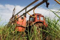 Acogerá cooperativa moronense Acto Provincial por el Día del Campesino