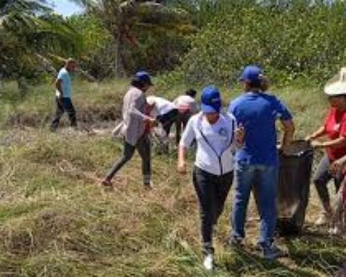 Enfrentan la contaminación por plásticos