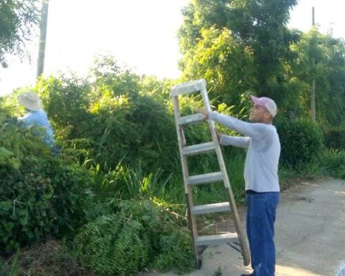 Preparados y siempre alertas