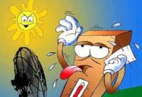 El verano y las altas temperaturas