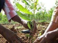 Obtiene Morón sede del Acto Provincial por el Día del Trabajador Forestal