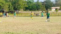 Vencen Tiburones a tuneros y acceden al repechaje