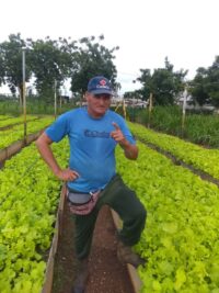 Sobresale organopónico moronense entre las unidades de su tipo