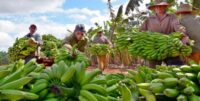 Por un mayor crecimiento de  la producción