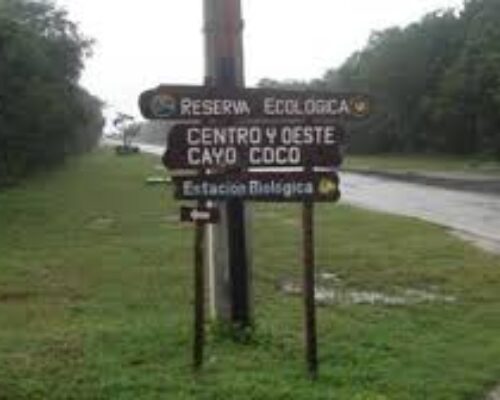Impulsan acciones para conservar la biodiversidad
