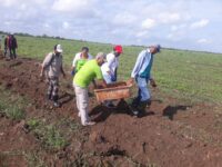 Realizan en Morón Trabajo Voluntario en saludo al 26 de Julio