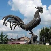 El Gallo de Morón