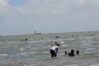 Exigen uso responsable de las playas
