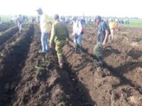 Prosiguen movilizaciones por el 26 de julio en Morón