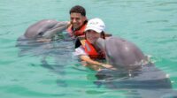 Terapias con delfines