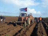 Impulsan programa alimentario por el 26 de Julio