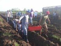 Prosiguen acciones productivas a ritmo de 26