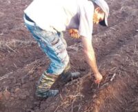 Desarrollan actividades en saludo al Congreso Campesino en Armas