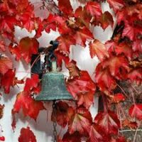 Otoño es la tregua