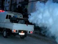 Refuerzan acciones para el control de las arbovirosis