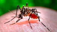 Activan grupos temporales ante situación epidemiológica