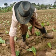 Con los pies bien puestos en la tierra