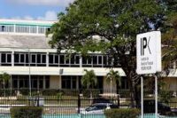 Dan a conocer pormenores sobre evolución del chikungunya