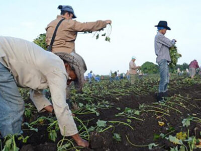 La voluntad de este pueblo es invencible