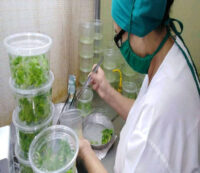 Sobresale Ciego de Ávila en ciencia e innovación durante 2025