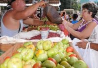 Desarrollarán Feria de fin de año en Morón