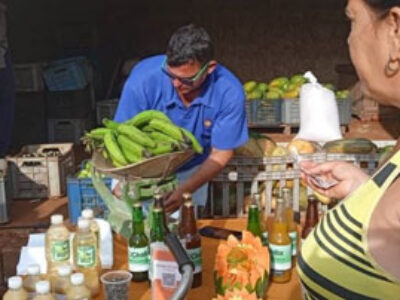 Habrá ferias populares el 30 de diciembre