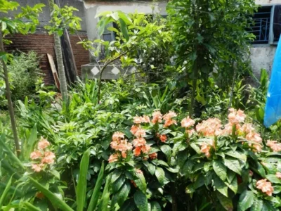 Promueven impulso a la agricultura familiar