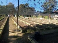 Listo organopónico de Morón para incrementar sus cultivos