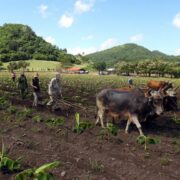 Buscar alternativas y producir más