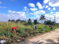 Emprenden acciones de limpieza y saneamiento