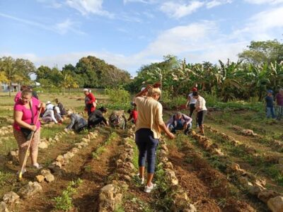 Jornadas de trabajo voluntario por el Primero de Mayo