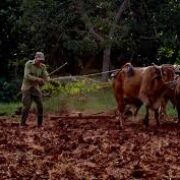 Campaña de primavera con nuevos retos