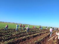 Impulsan programa alimentario en Morón