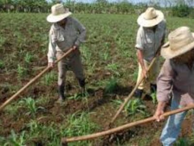 17 de mayo, Día del Campesino