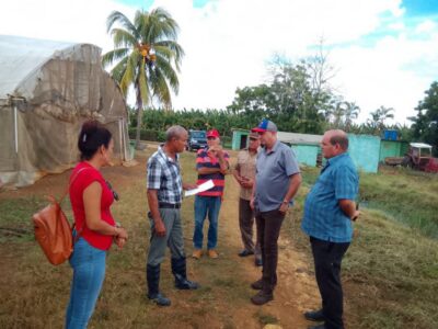 Recuperación productiva en la Cooperativa Amistad, Morón